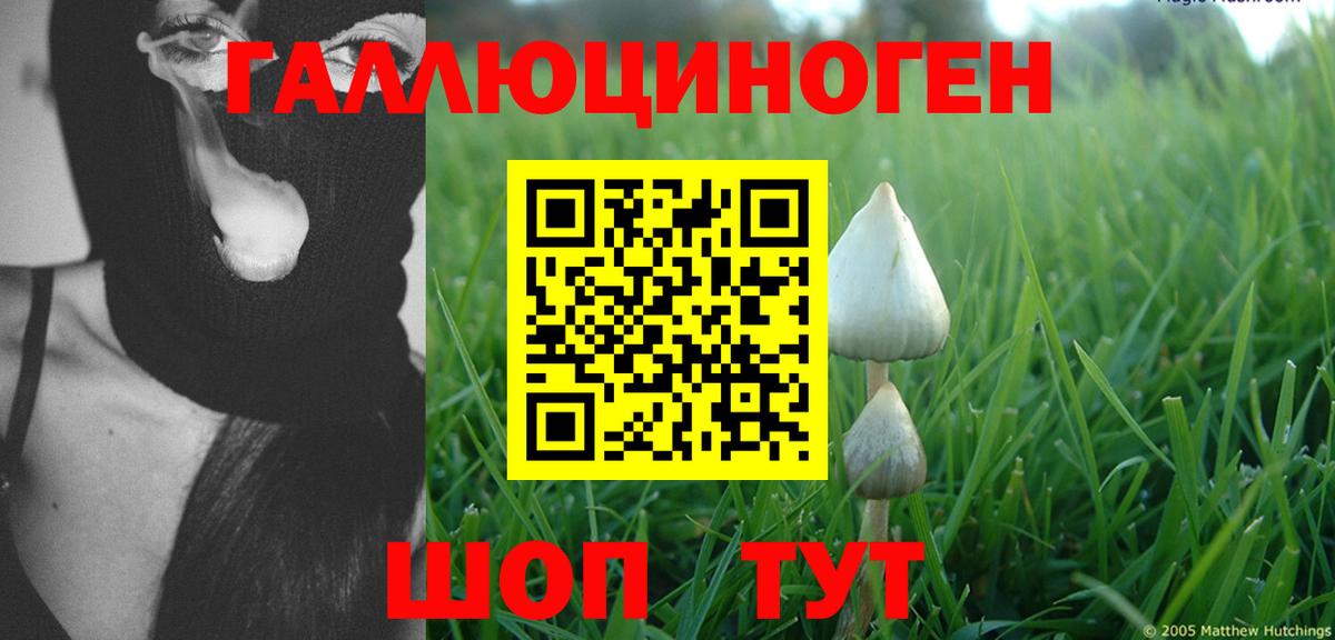 Павловский Посад  Галлюциногенные грибы Cubensis  магазин    Вход с VPN  Галлюциногенные грибы Psilocybine cubensis 